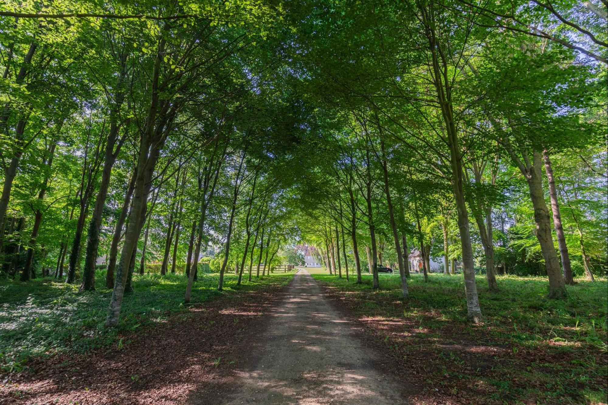 Bagatelle Avec Jardin Et Piscine Chauffee Villa Bieville-en-Auge Exterior foto