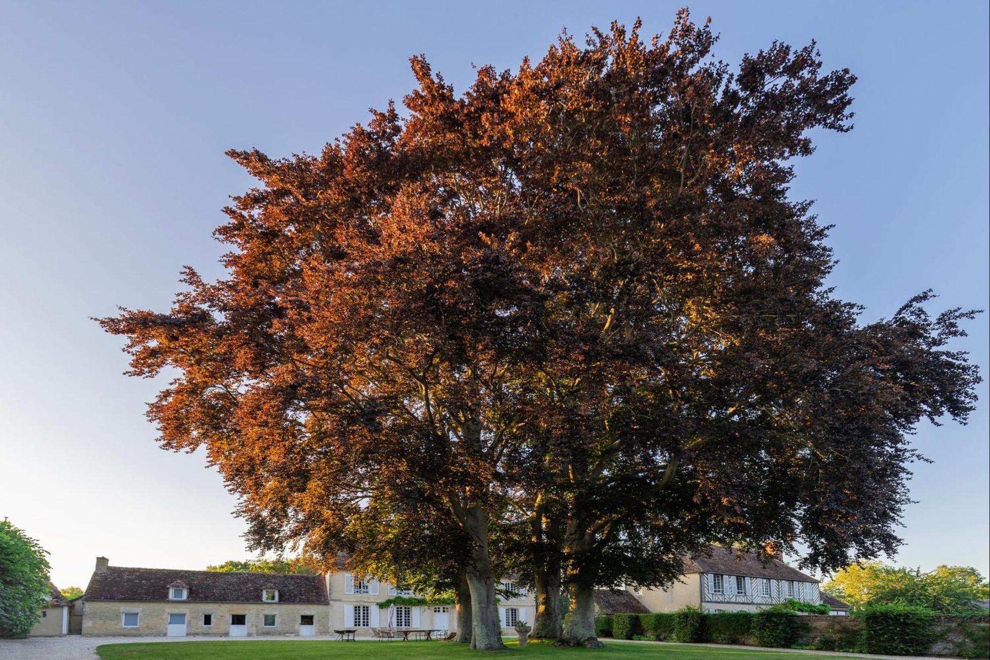 Bagatelle Avec Jardin Et Piscine Chauffee Villa Bieville-en-Auge Exterior foto