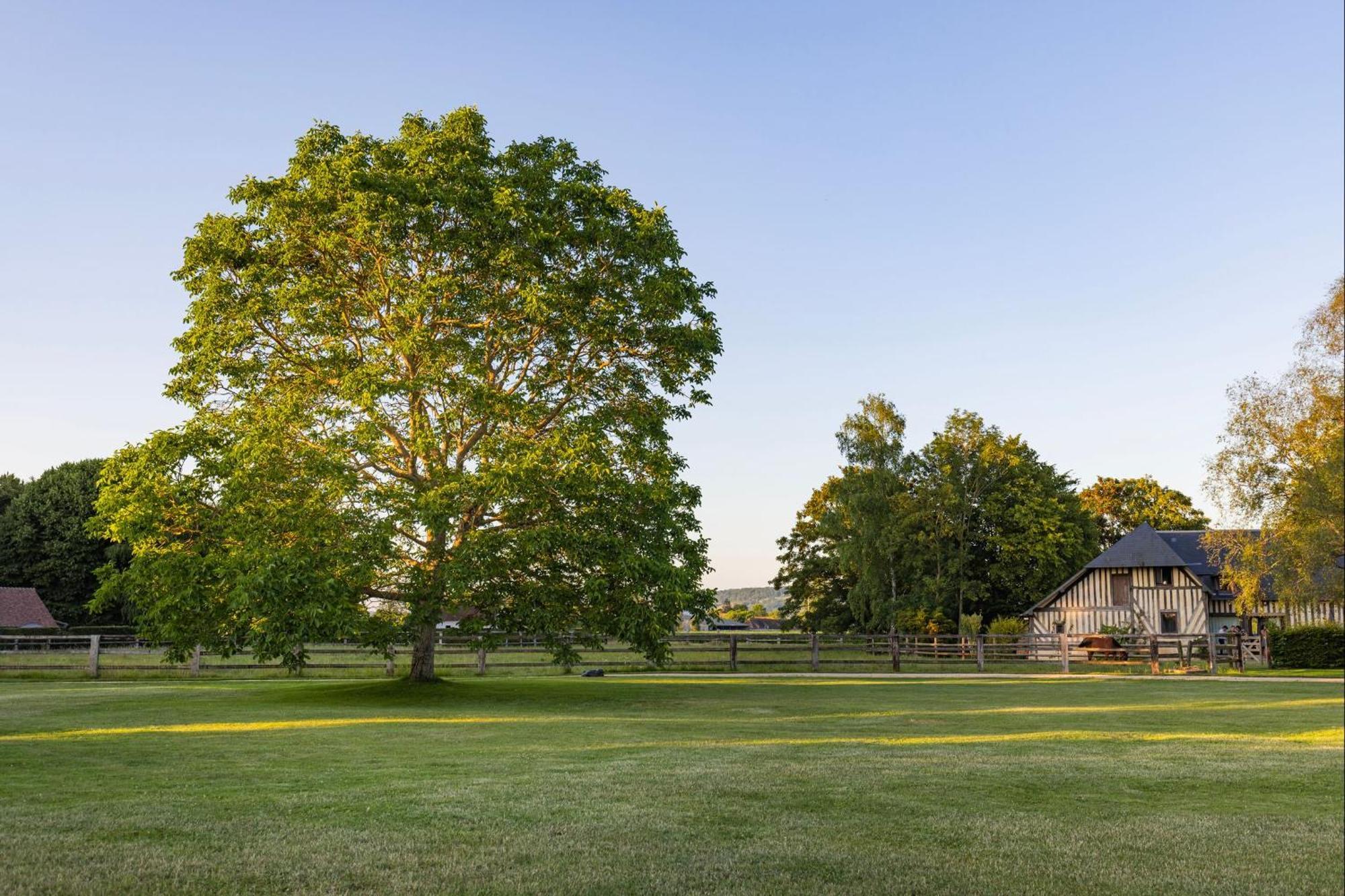 Bagatelle Avec Jardin Et Piscine Chauffee Villa Bieville-en-Auge Exterior foto